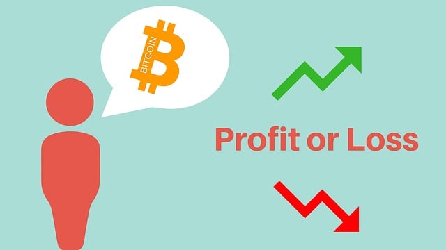 bitcoin-profit-oder-verlust Bitcoin-ETF – sicherer Hafen oder hochriskante Anlage?