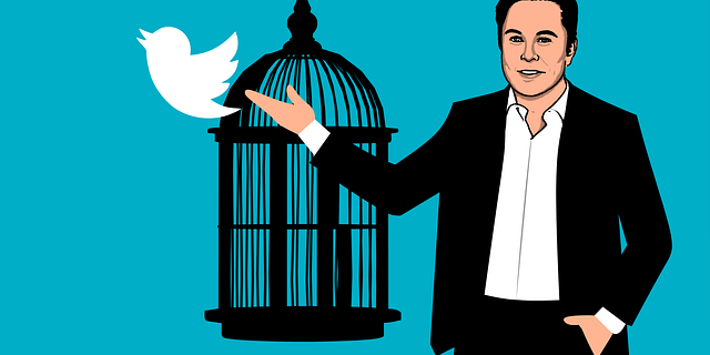 Elon Musk kaufte Twitter Elon Musk verhalf Twitter wieder zur Freiheit