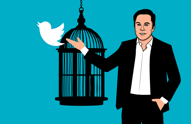 Elon Musk kaufte Twitter Elon Musk verhalf Twitter wieder zur Freiheit