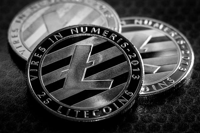 Litecoin Münzen Litecoin Münzen